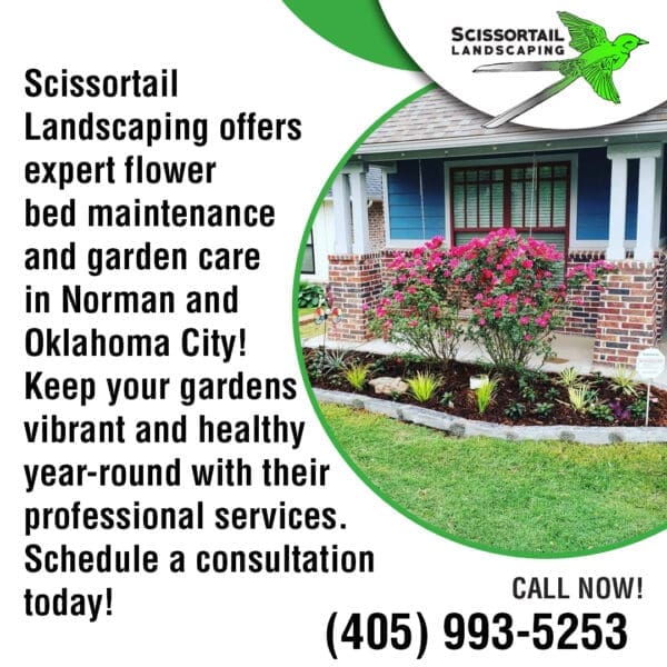 Scissortail Landscaping offers expert flower bed maintenance and garden care in Norman and Oklahoma City!