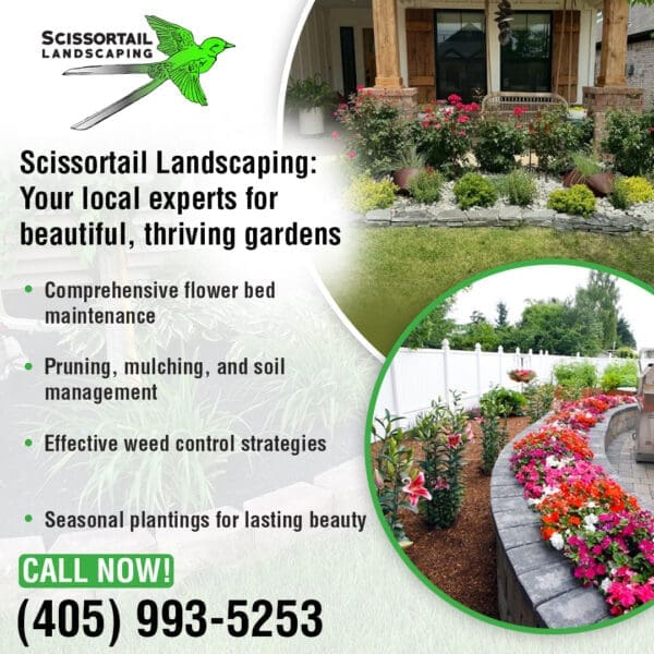  Scissortail Landscaping: Your local experts for beautiful, thriving gardens.