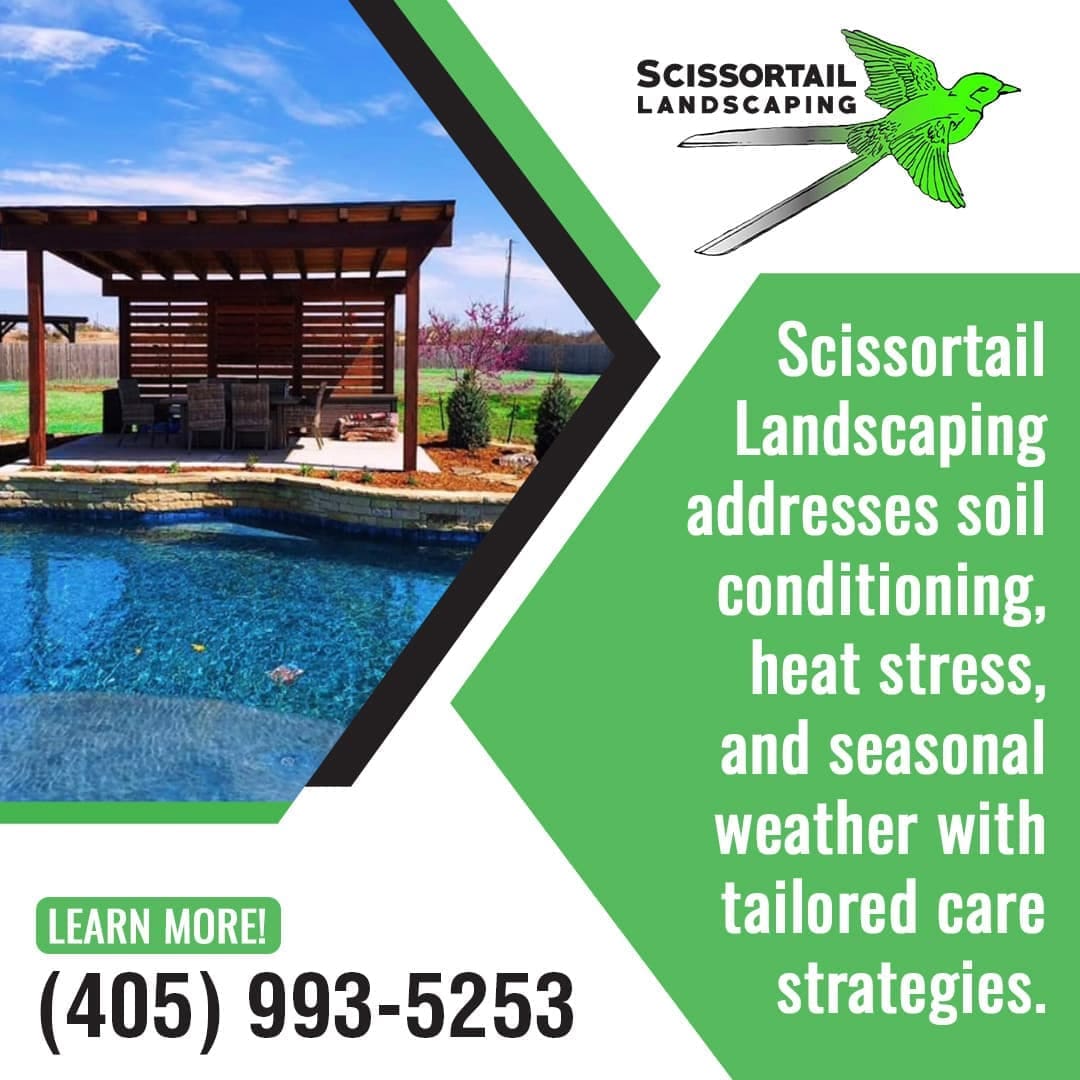 Custom pergola and poolside outdoor living space designed by Scissortail Landscaping with climate-adapted landscaping and tailored care strategies.