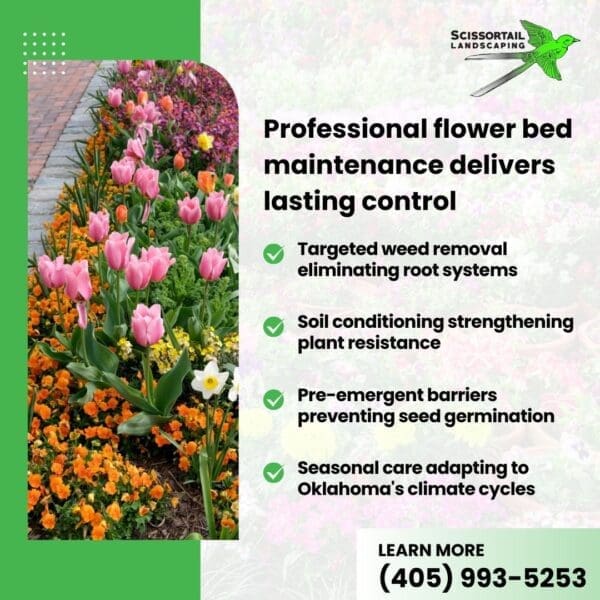 Advertisement for Scissortail Landscaping detailing their professional flower bed maintenance services next to a photo of vibrant pink and orange flowers.