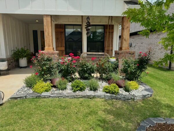 A close-up photo of a beautifully designed residential front yard flower bed featuring dark red roses, various green shrubs and accent plants.